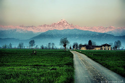 View of the Alps