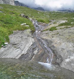 Torrente alpino