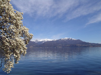 Vista del lago Maggiore