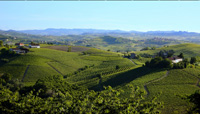 Piemont Hügel