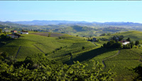 Collines du Piémont