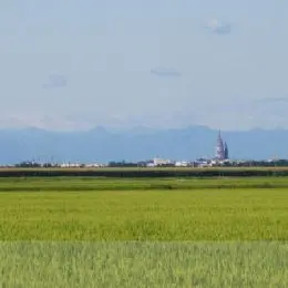 Novara et ses rizières